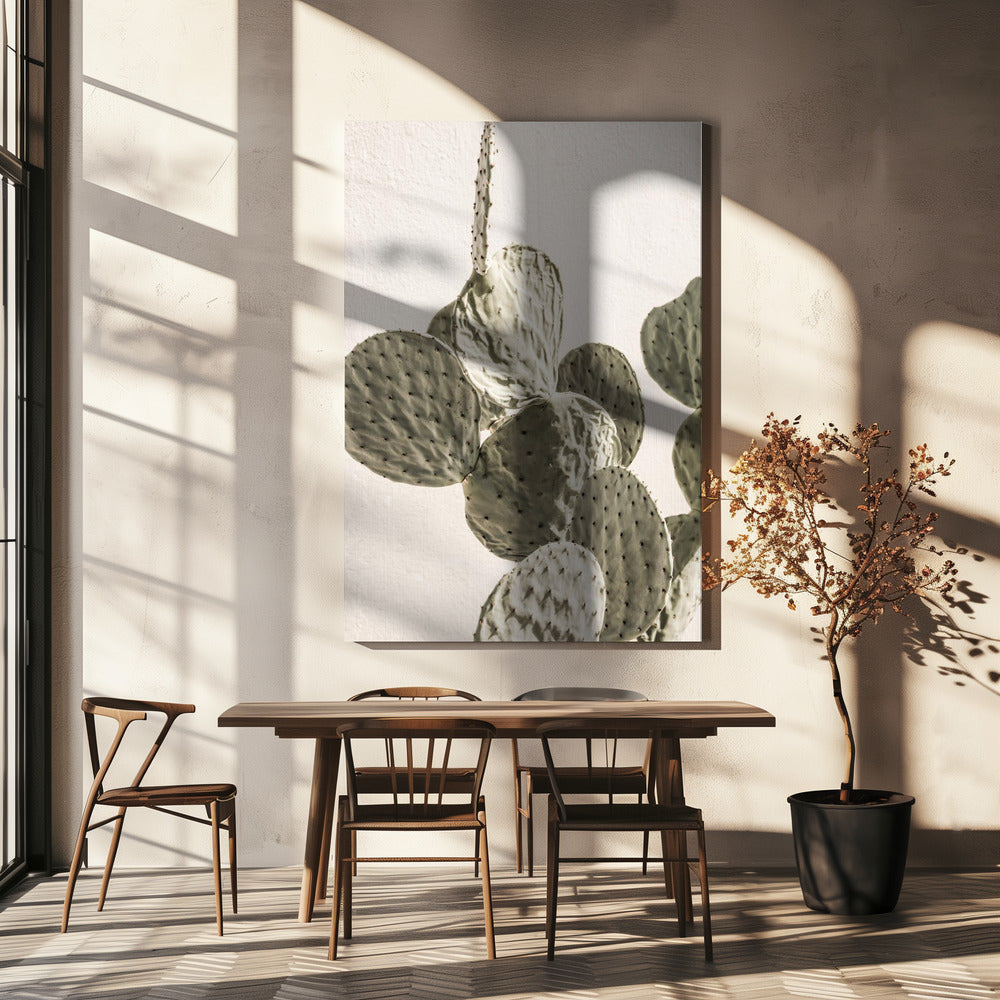 Prickly Elegance | Canvas