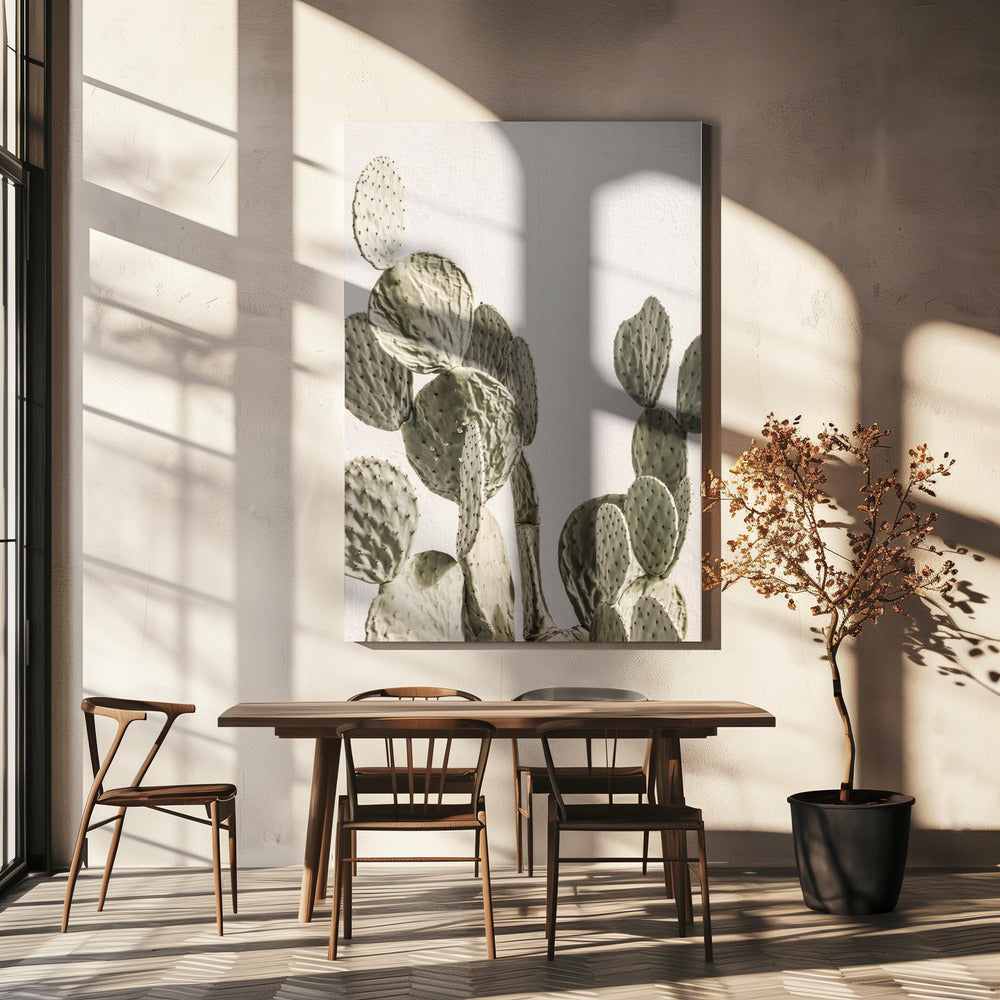 Cactus Serenity | Canvas