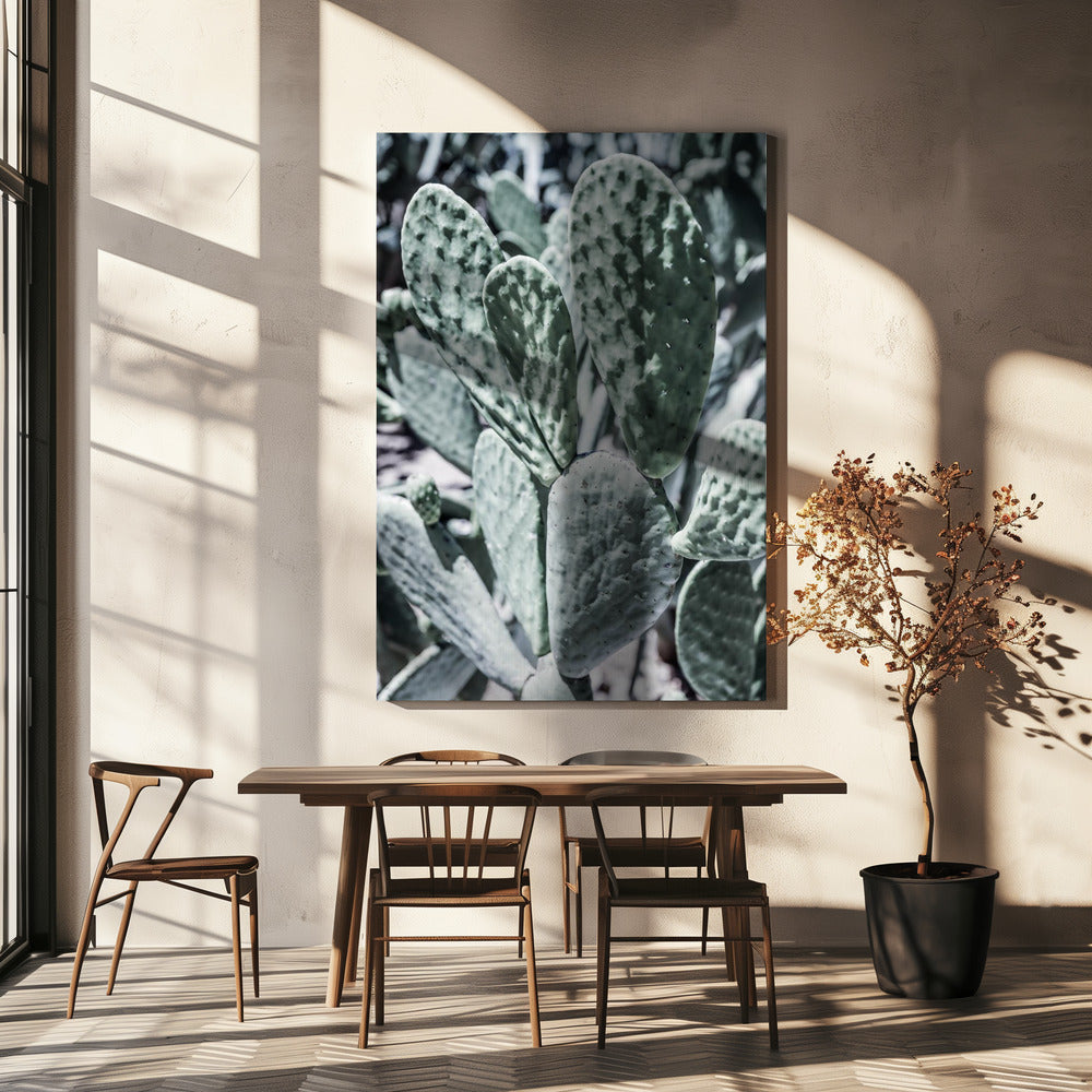 Desert Serenity | Canvas