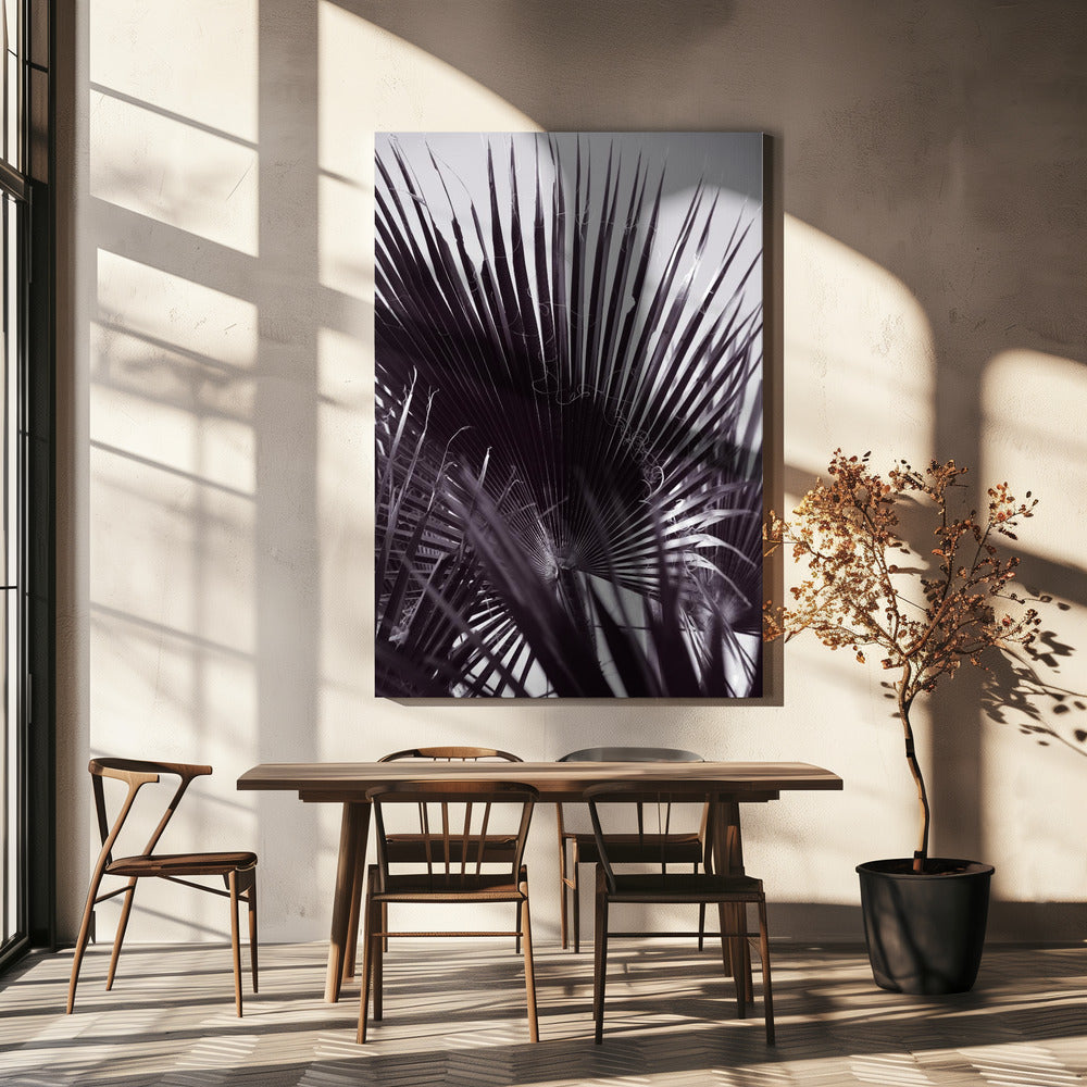 Palm Whisperings | Canvas