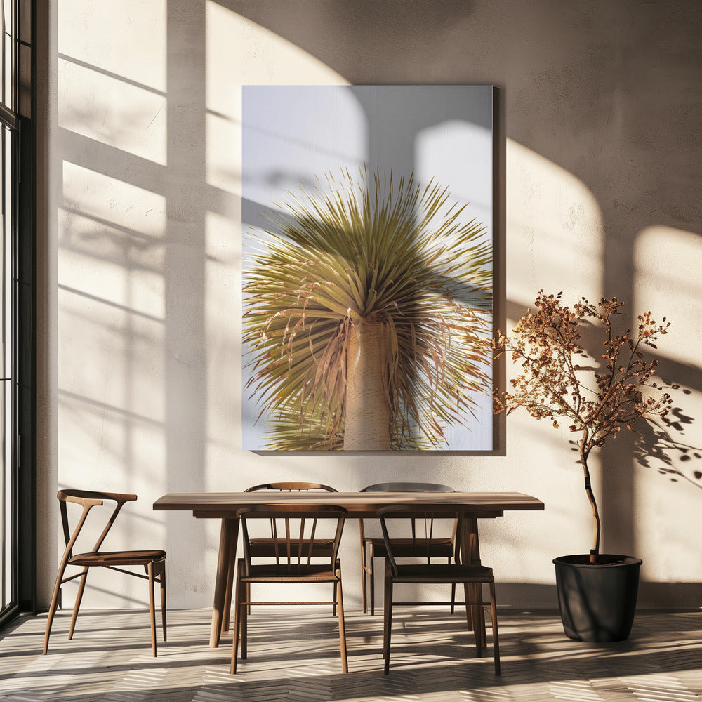 Desert Crown | Canvas