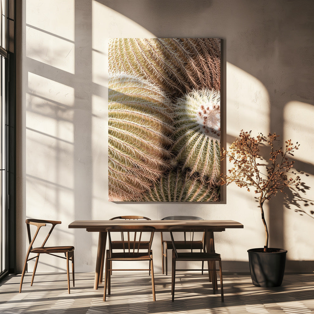 Spiral of Spines | Canvas