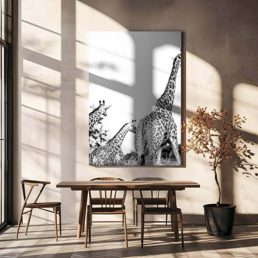 Giraffe Family Stroll | Canvas