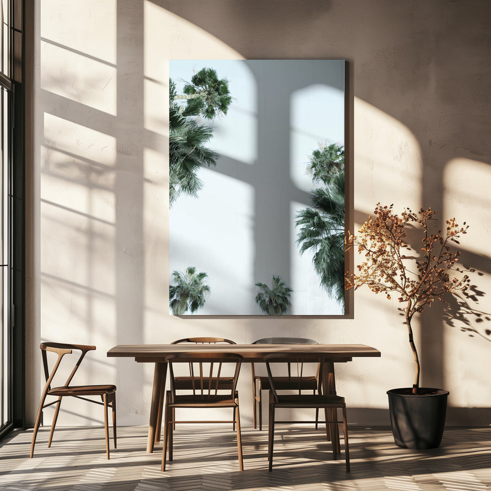 Palm Tree Serenity | Canvas