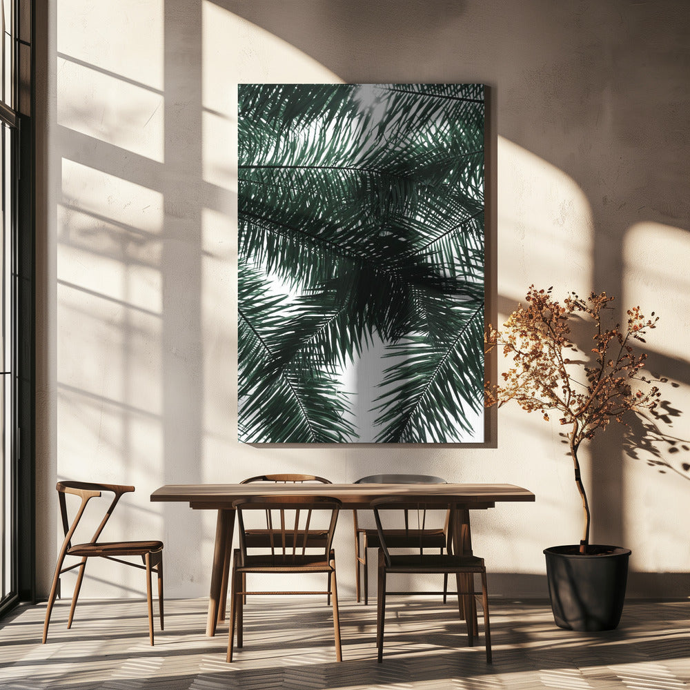 Sunlit Palms Canopy | Canvas
