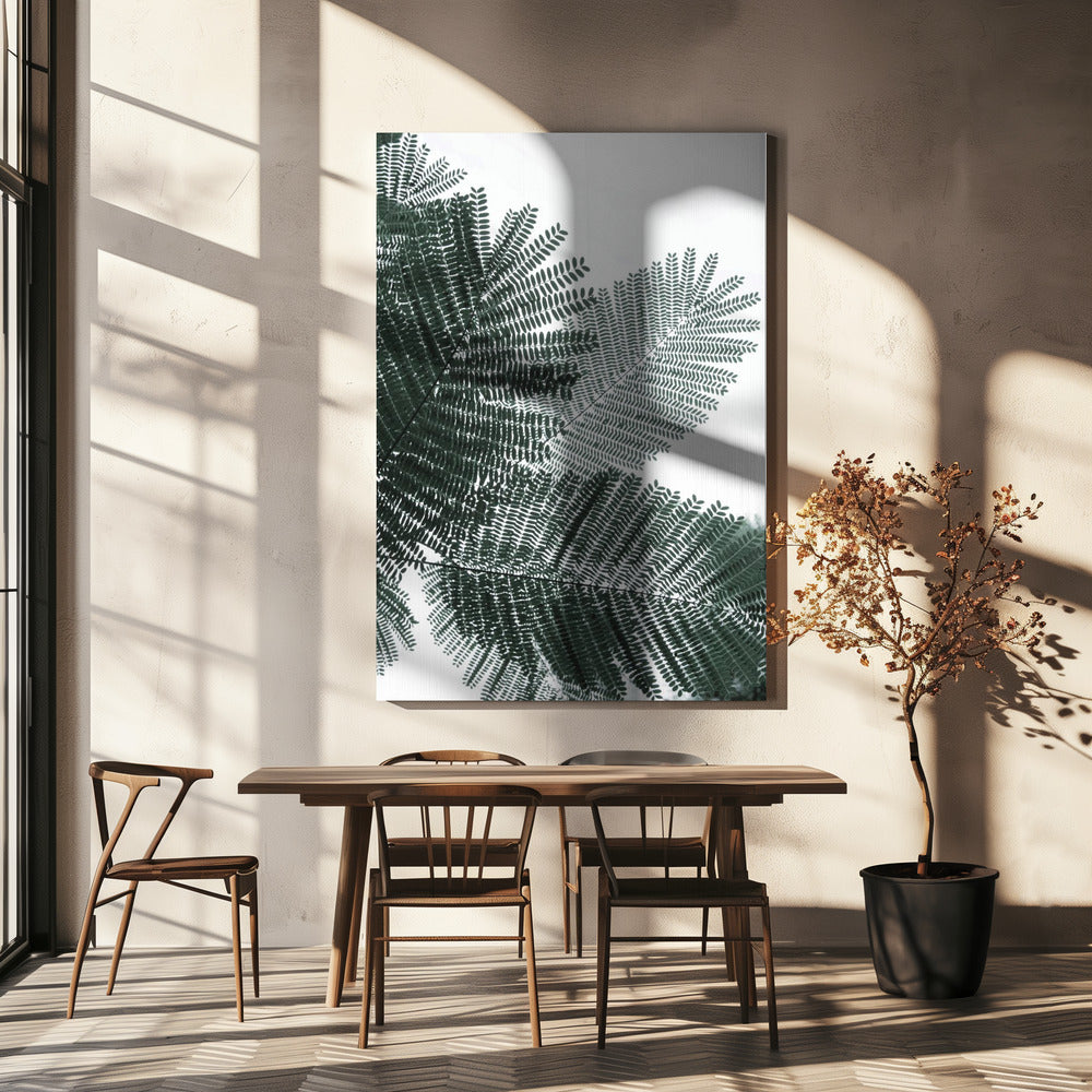 Fern Whispering | Canvas
