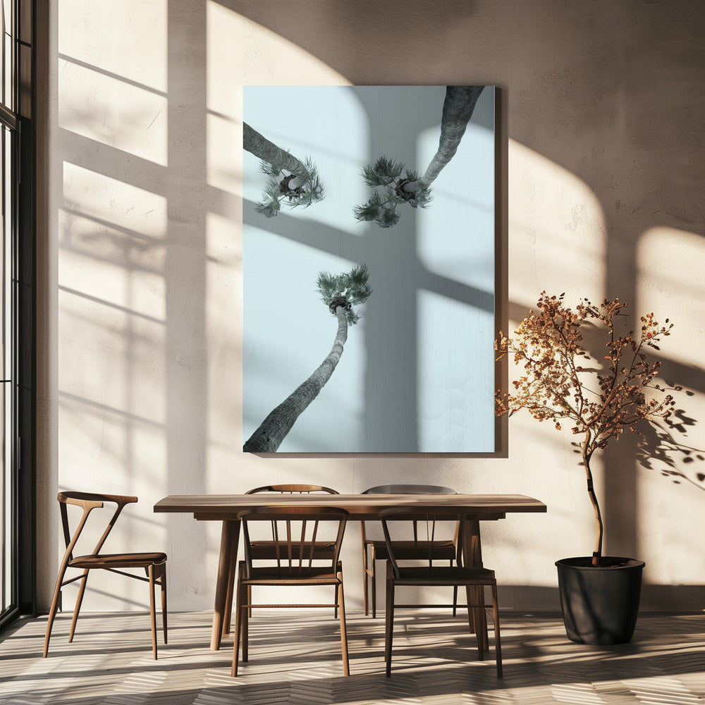 Skyward Palms | Canvas