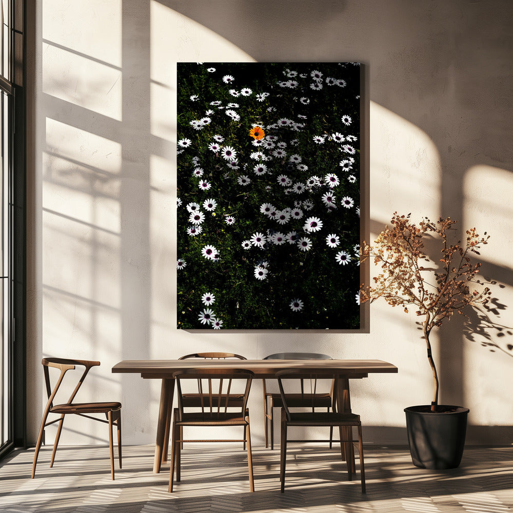 Unique Blossom | Canvas