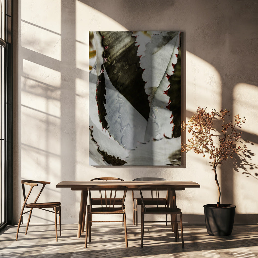 Desert Elegance | Canvas