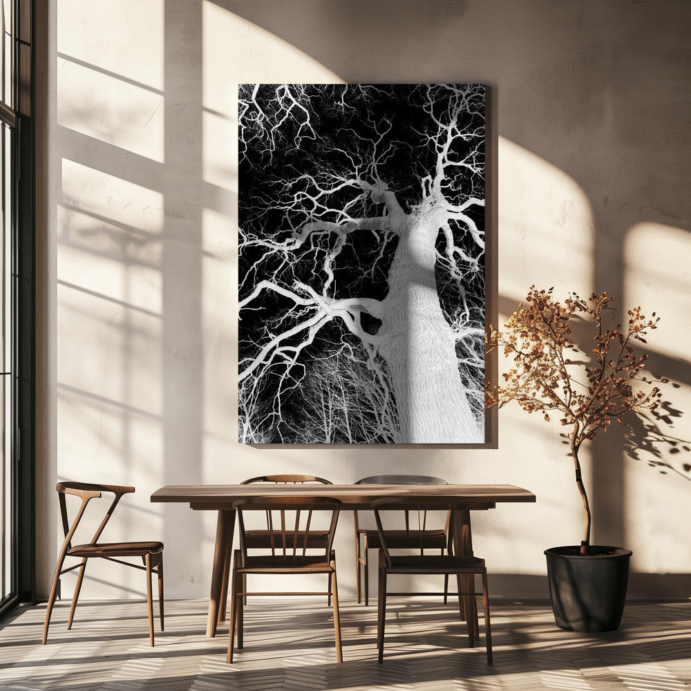 Inverse Arbor Essence | Canvas