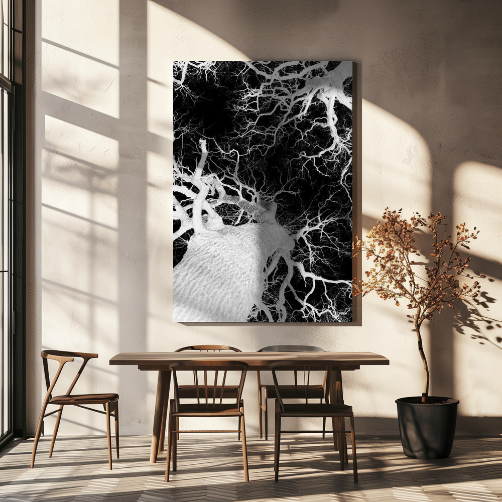 Winter&#039;s Veins | Canvas