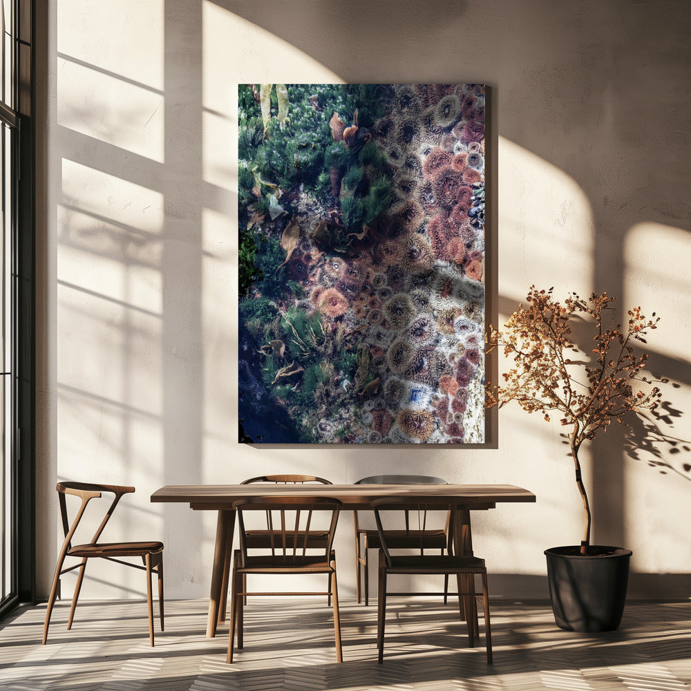 Ocean&#039;s Tapestry | Canvas