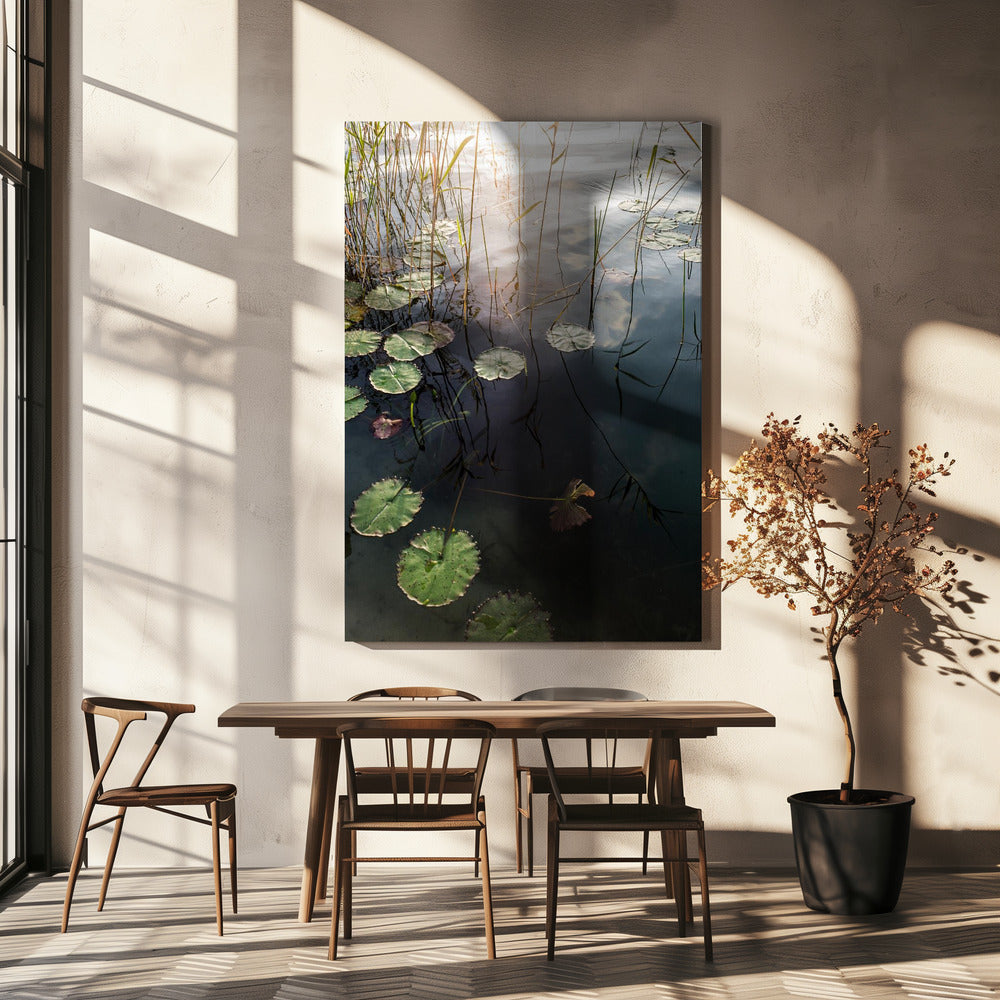 Lily&#039;s Tranquil Dawn | Canvas