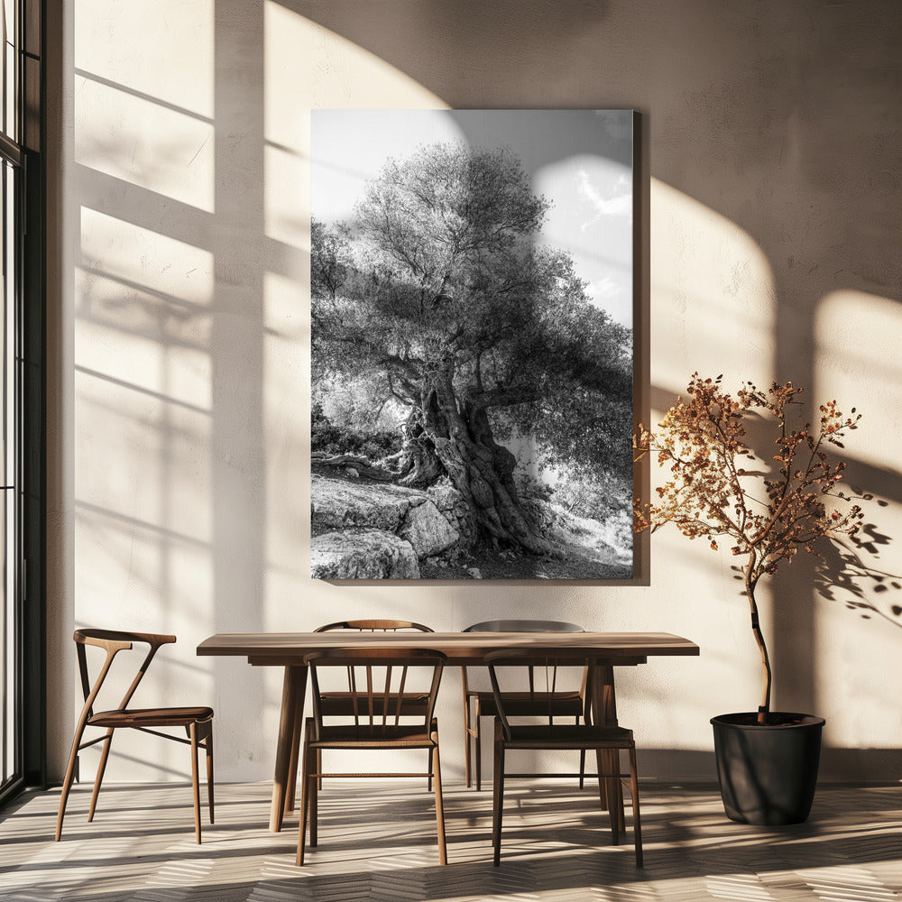 Ancient Sentinel | Canvas