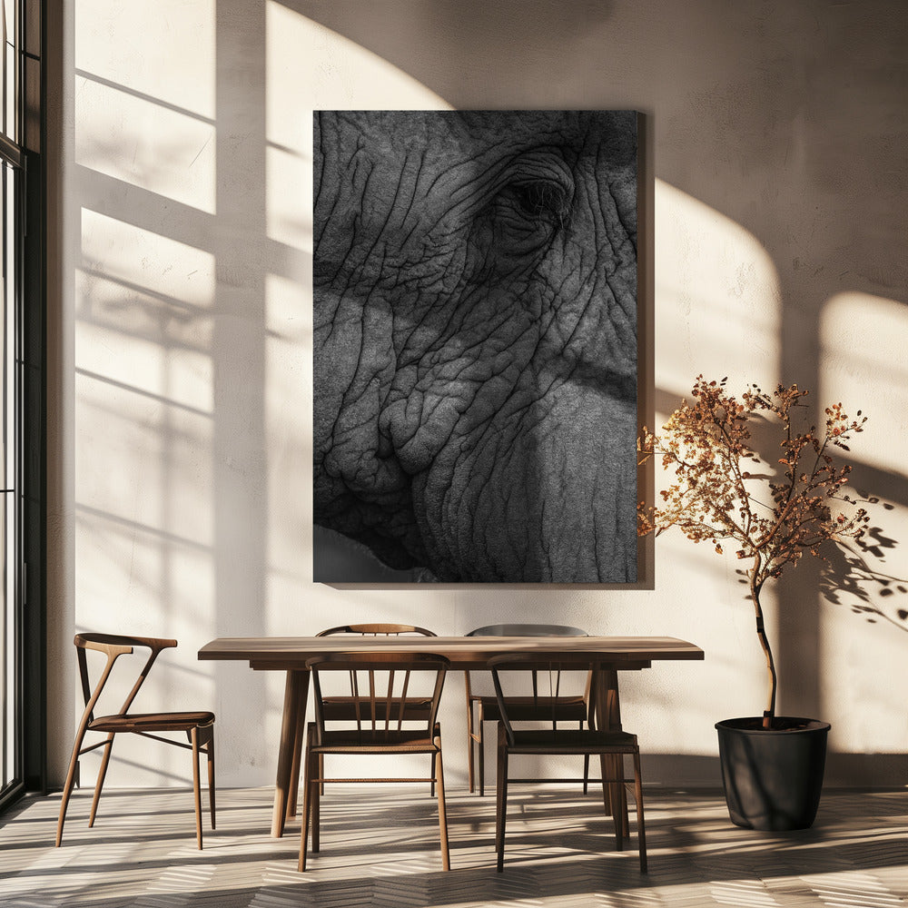 Elephant&#039;s Wisdom | Canvas