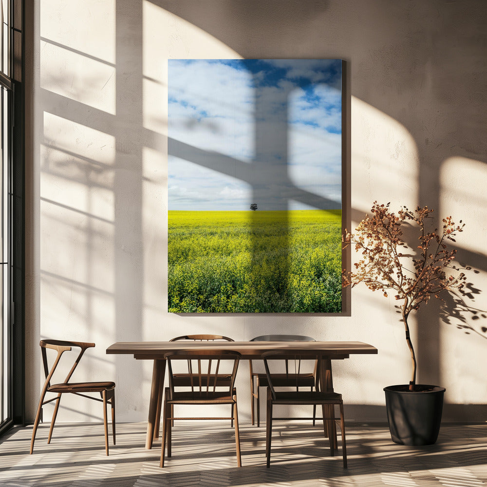 Solitary Tree Horizon | Canvas