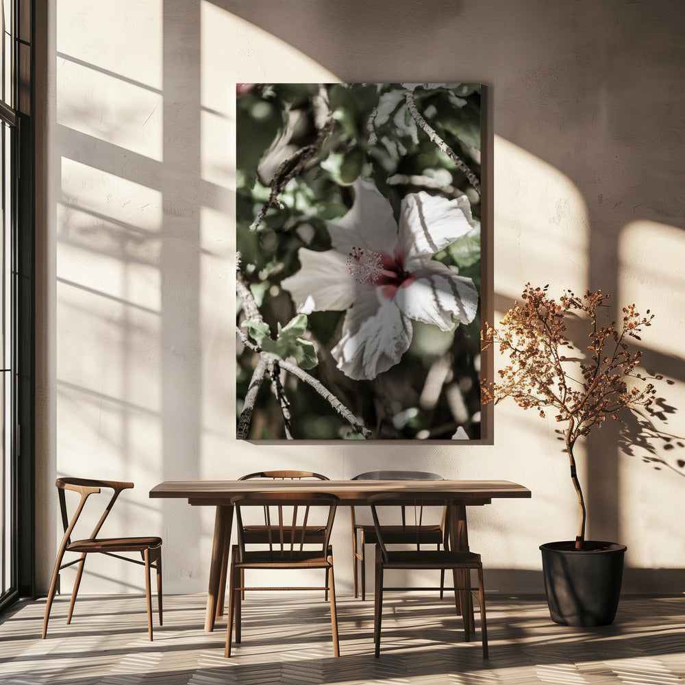 Whispering Blossom | Canvas