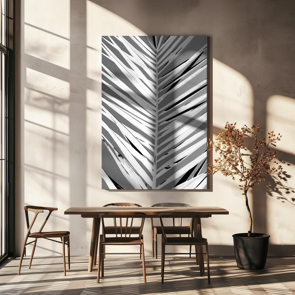 Monochrome Fronds | Canvas