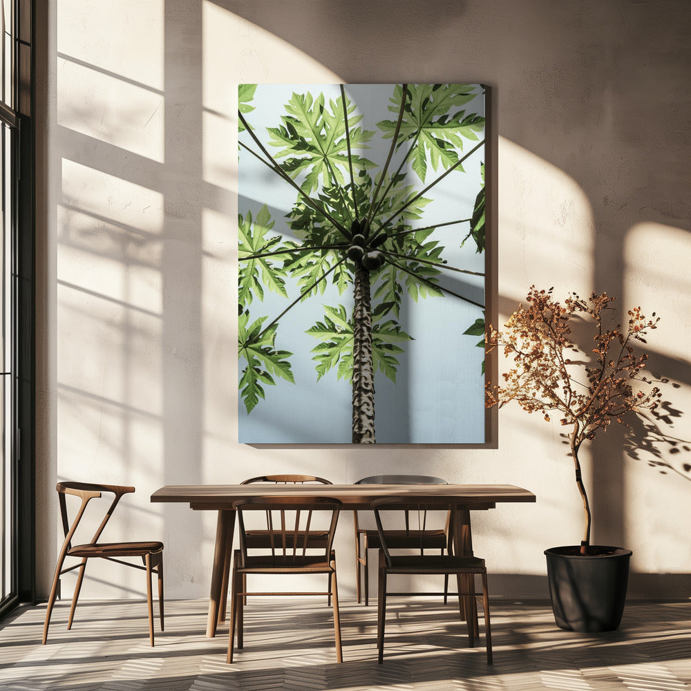 Skyward Papaya | Canvas