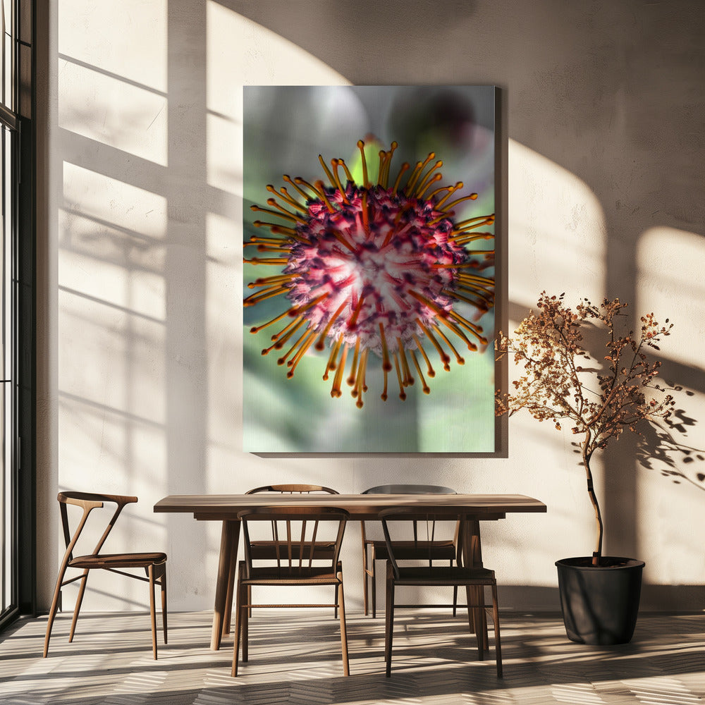 Blooming Radiance | Canvas
