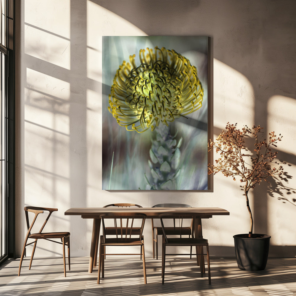Golden Bloom Burst | Canvas