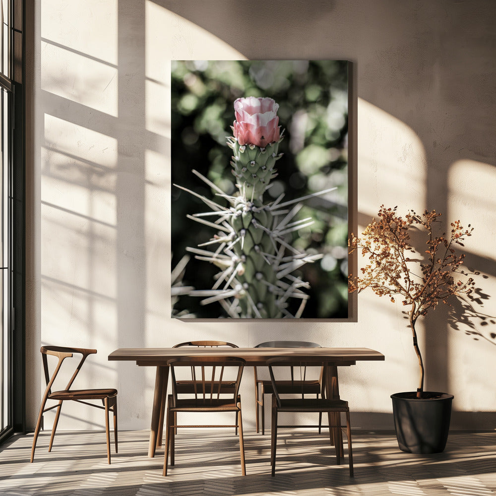 Desert Blossom Beauty | Canvas