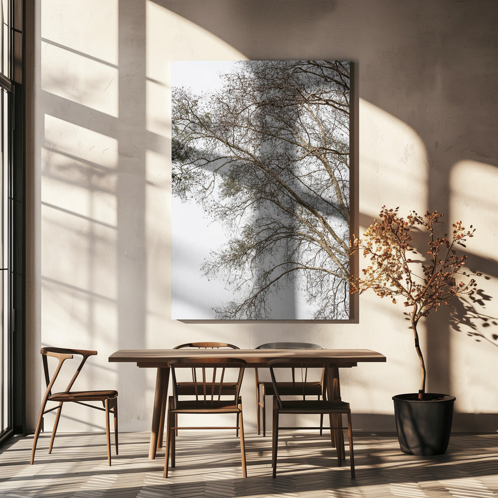 Winter&#039;s Whispering Branches | Canvas