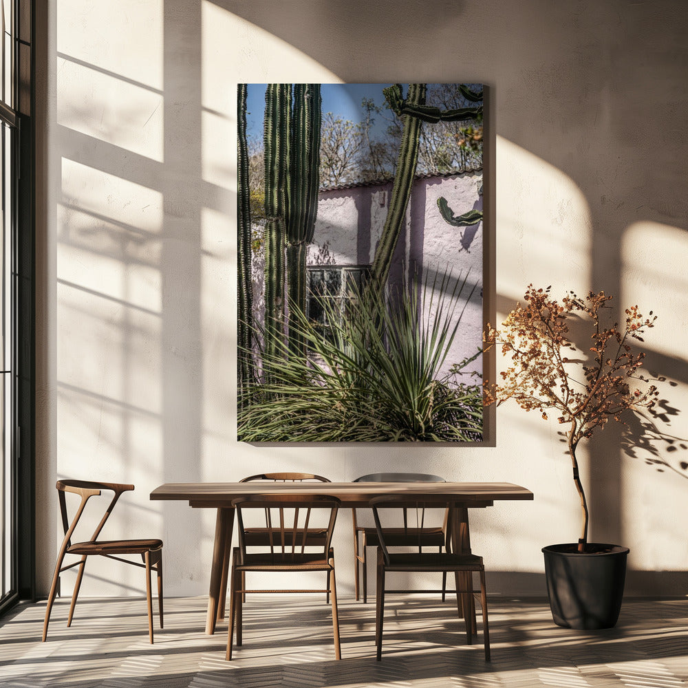 Cactus &amp; Pink Wall | Canvas