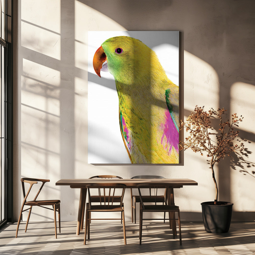 Vibrant Parrot Profile | Canvas