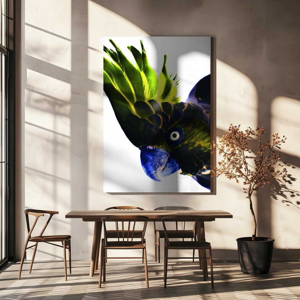 Vivid Bird Glance | Canvas