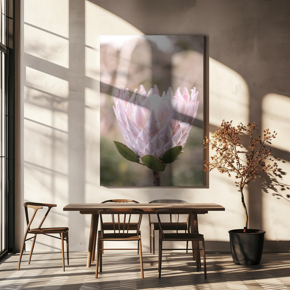 Blossom Majesty | Canvas