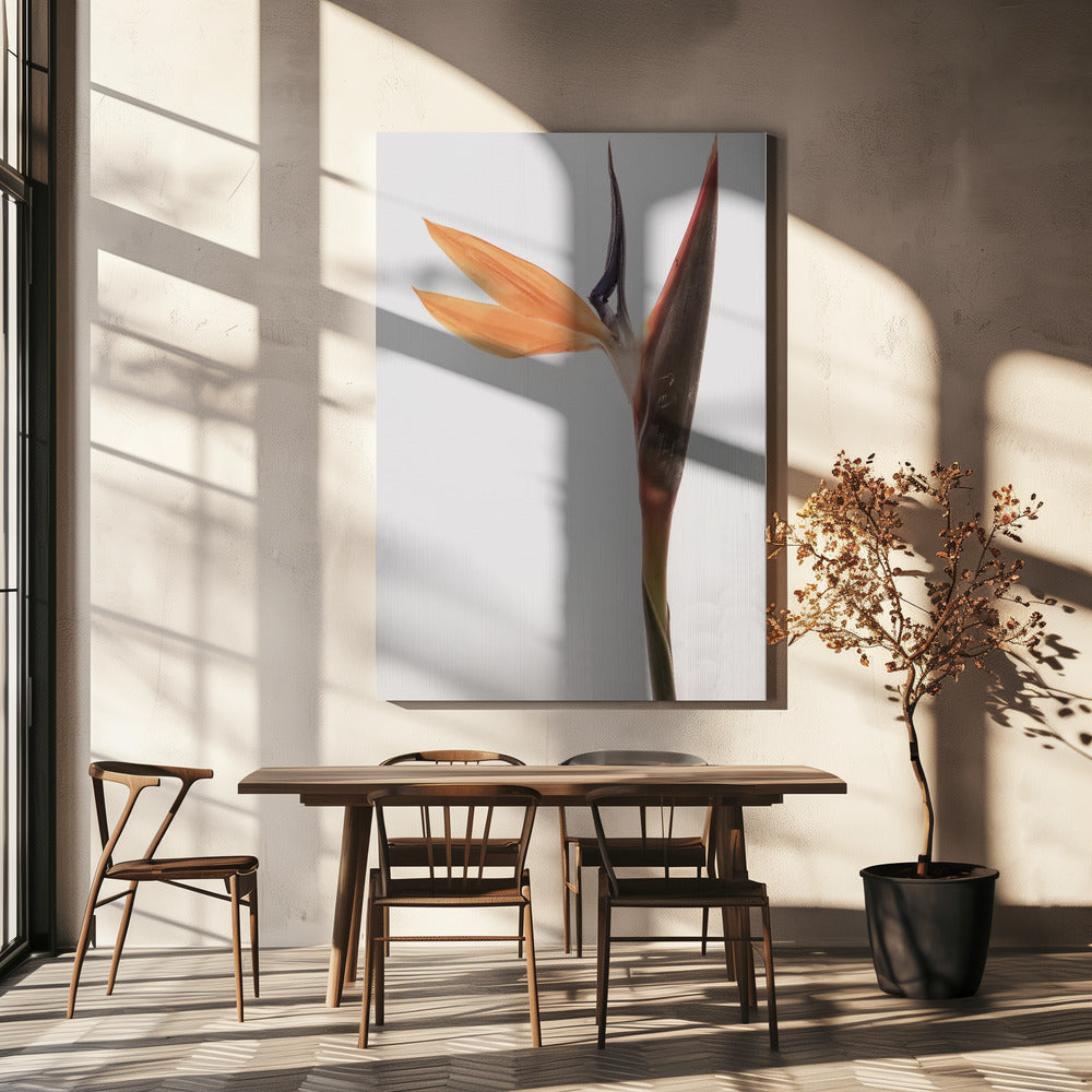 Vibrant Blossom | Canvas