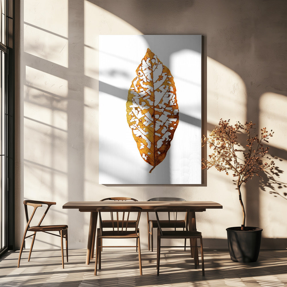 Leaf Skeleton Essence | Canvas