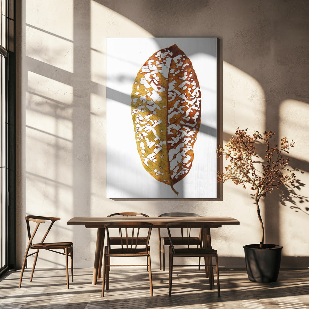 Faded Foliage Lace | Canvas