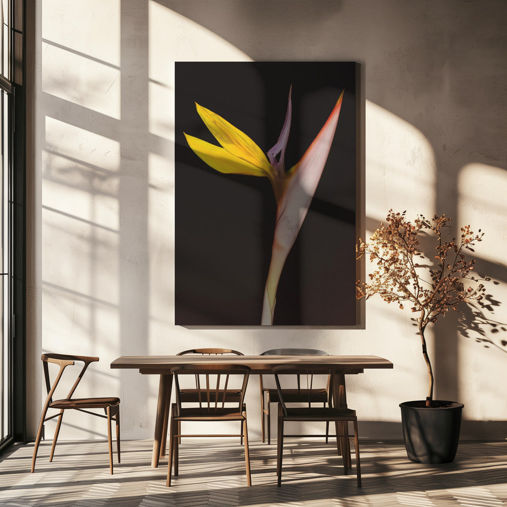 Exotic Blossom Glow | Canvas
