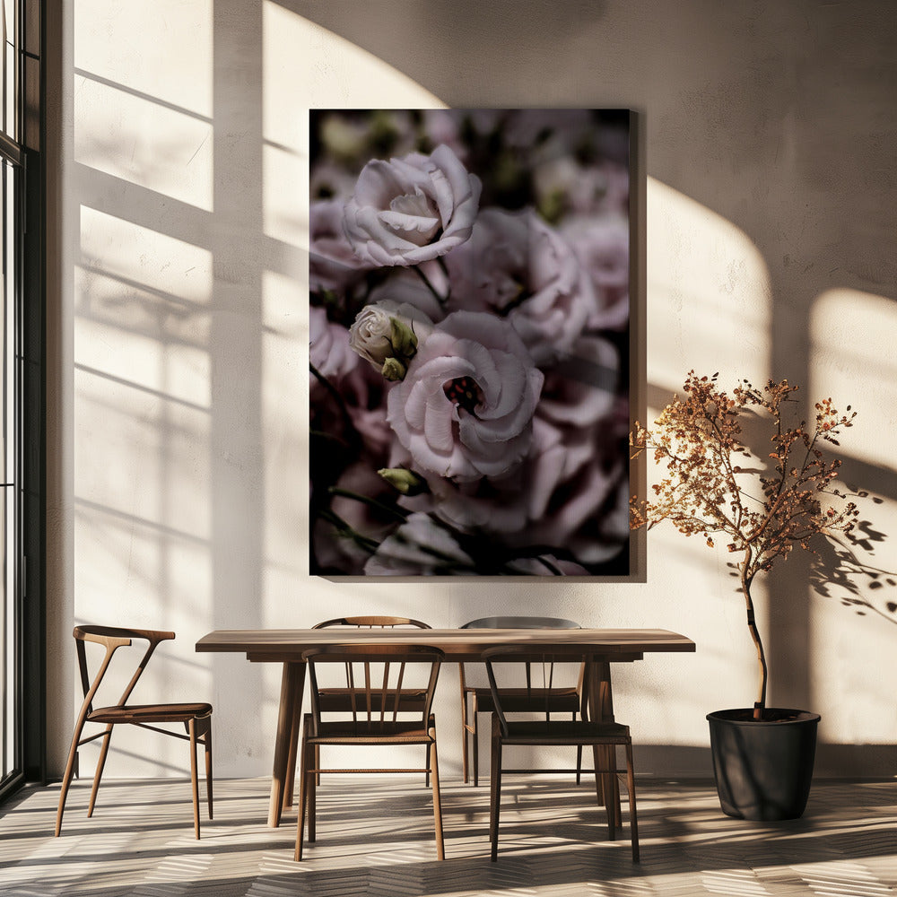 Delicate Beauty of Pink Lisianthus Flower | Canvas