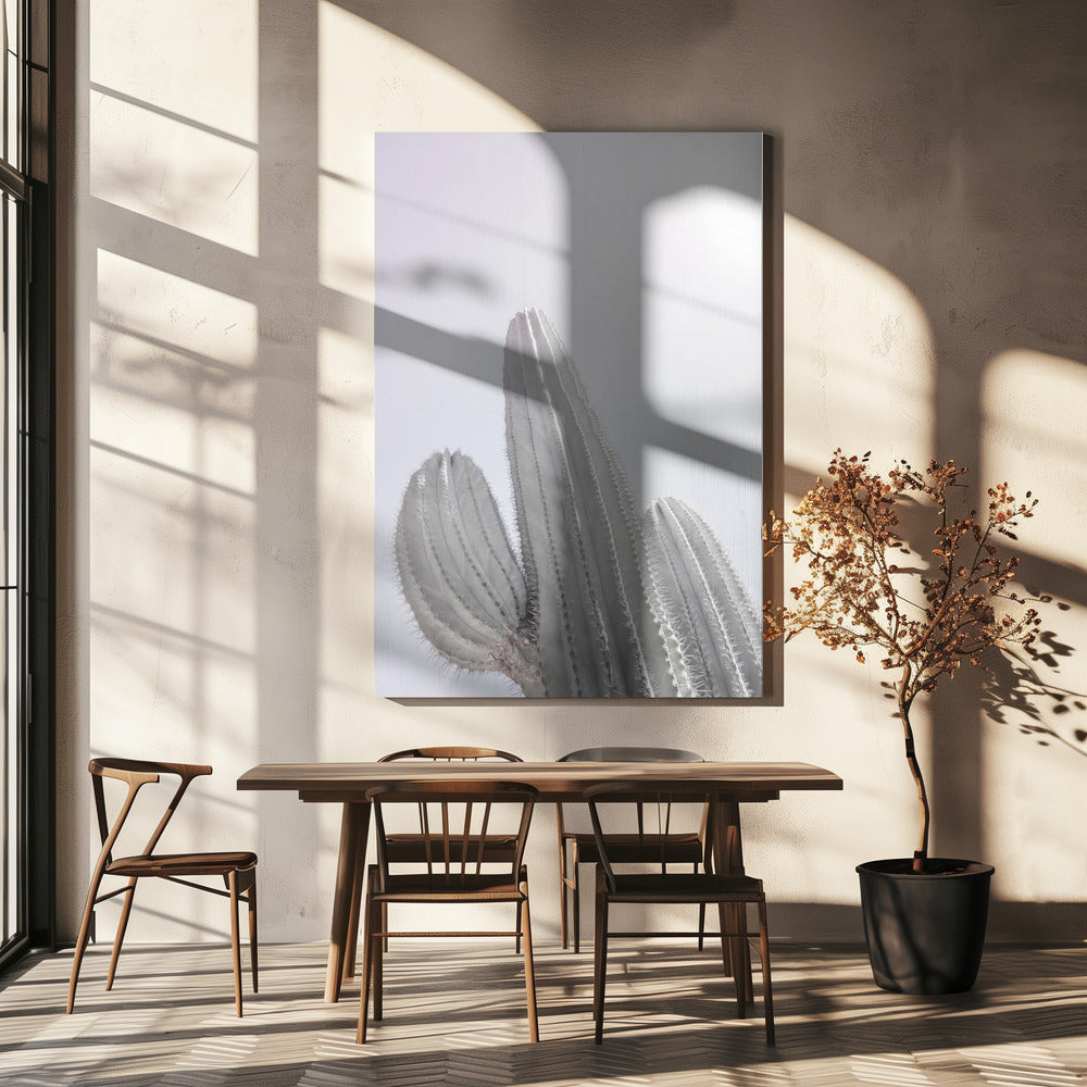 Minimalist Cactus | Canvas