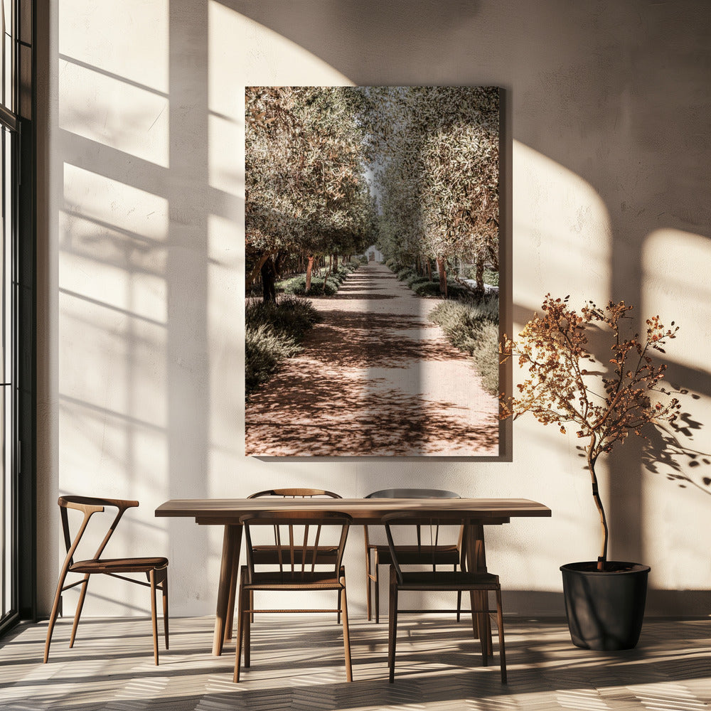 A Serene Tree Lined Path with Sunlight | Canvas