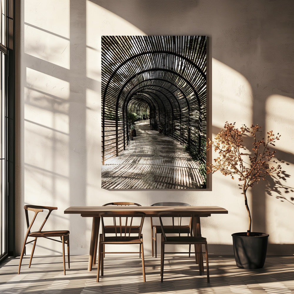 Shadow Garden | Canvas