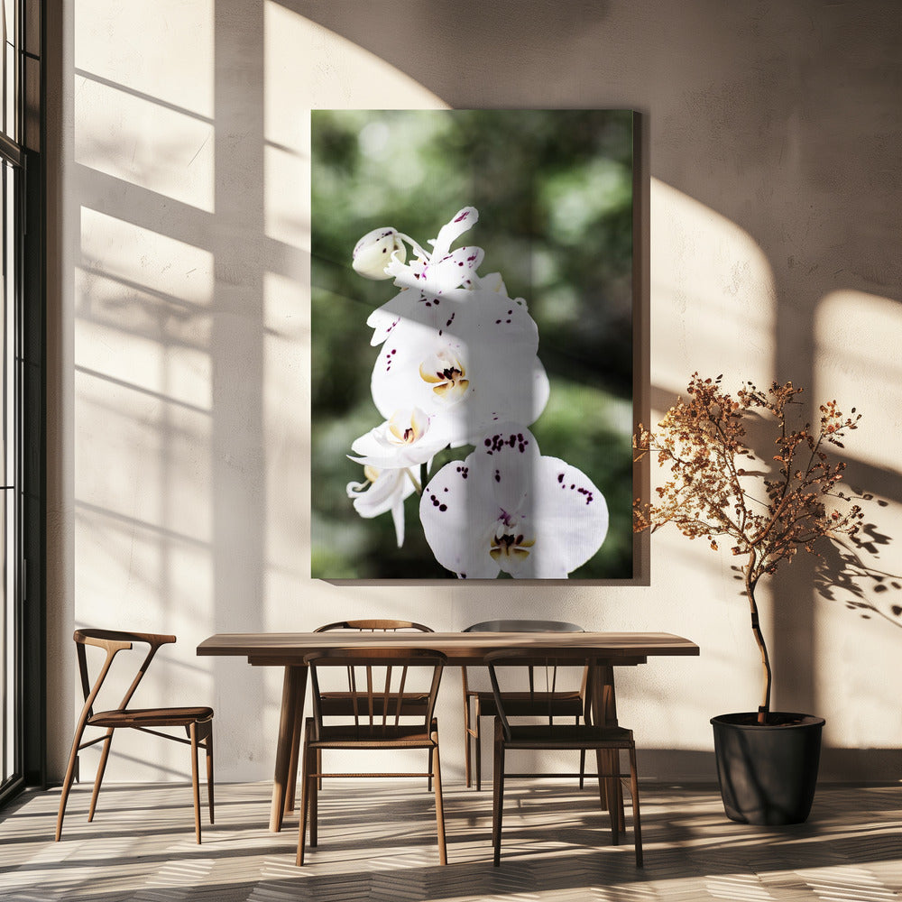 Spring Blooms | Canvas