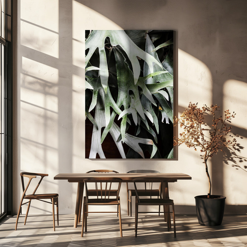 Enchanted Fronds | Canvas
