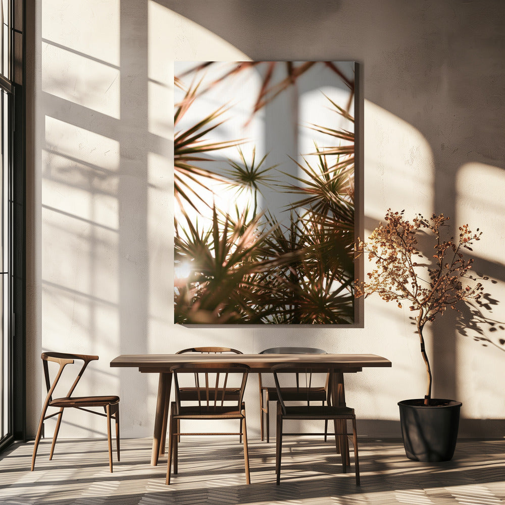 Abstract Beauty Of Spiky Plant | Canvas