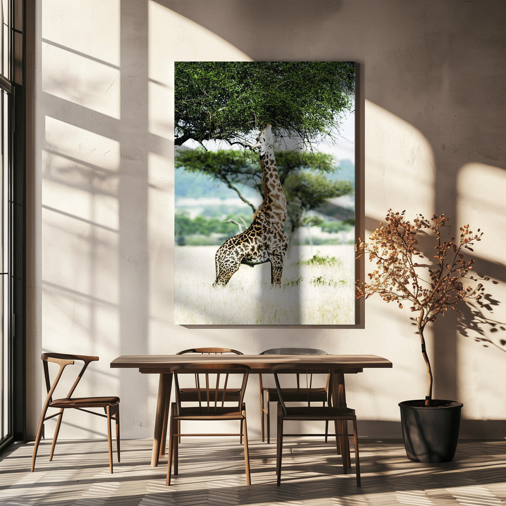 Majestic Giraffe Stretches | Canvas