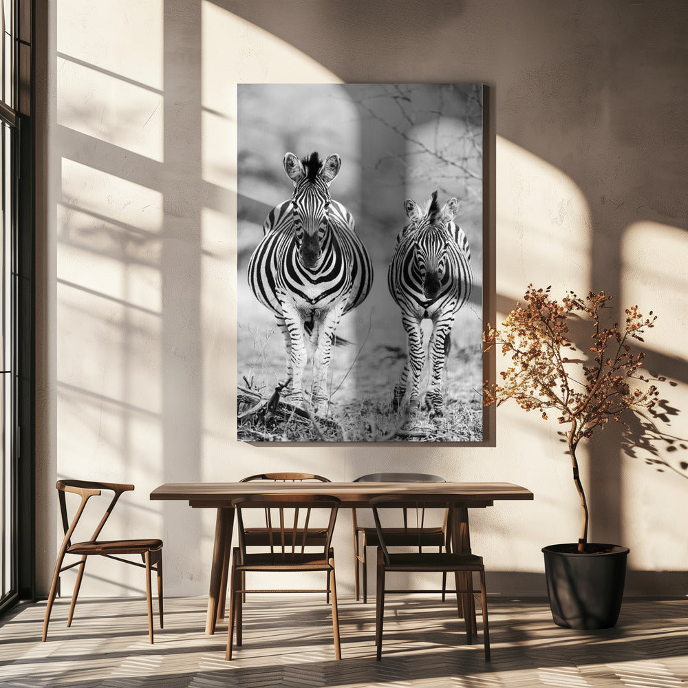 Striped Horse Front On | Canvas
