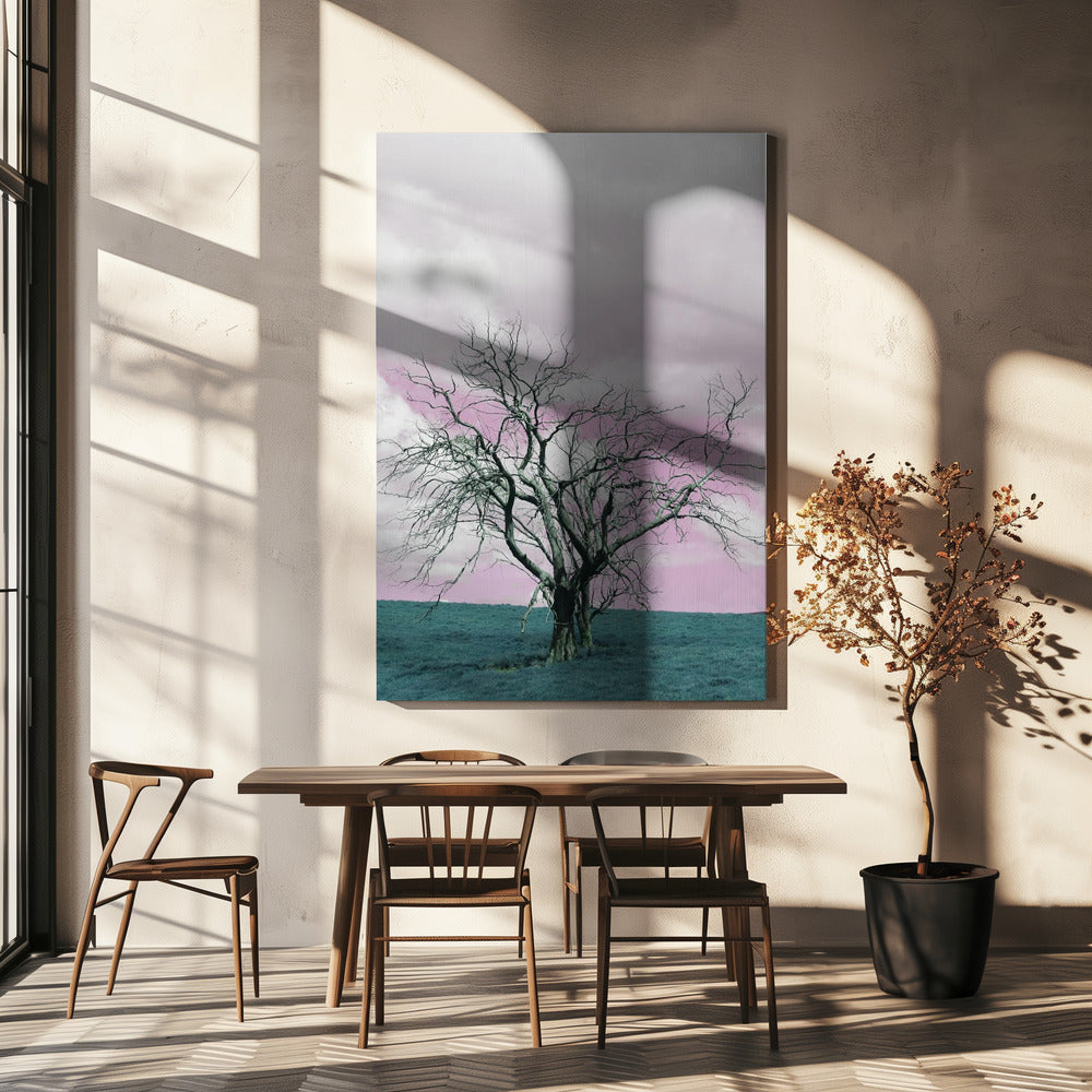 Barren Tree Against A Dreamy Pink Sky | Canvas