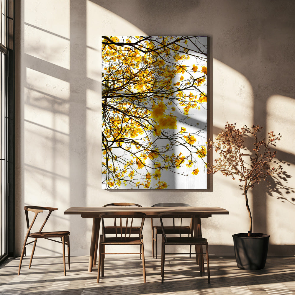 Golden Canopy Burst | Canvas