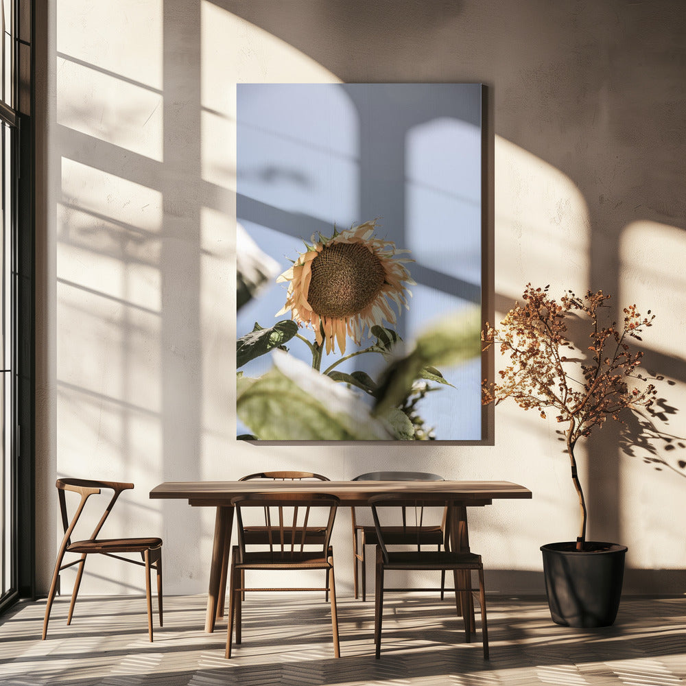 Golden Bloom Sky | Canvas