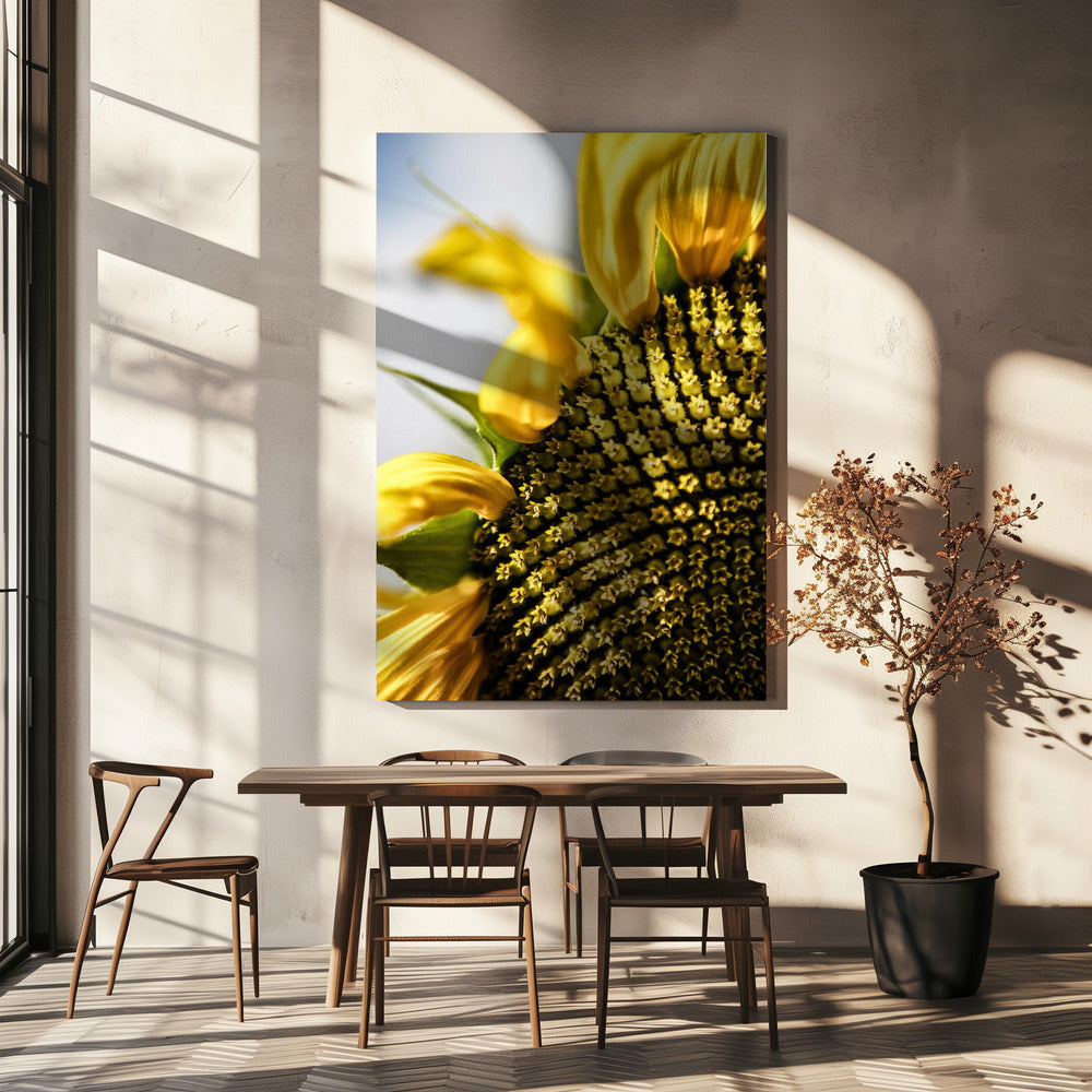 Sunflower Close Up | Canvas