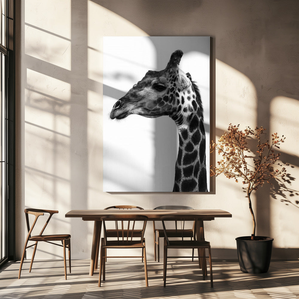 Intricate Patterns Of A Giraffe&#039;s Skin | Canvas