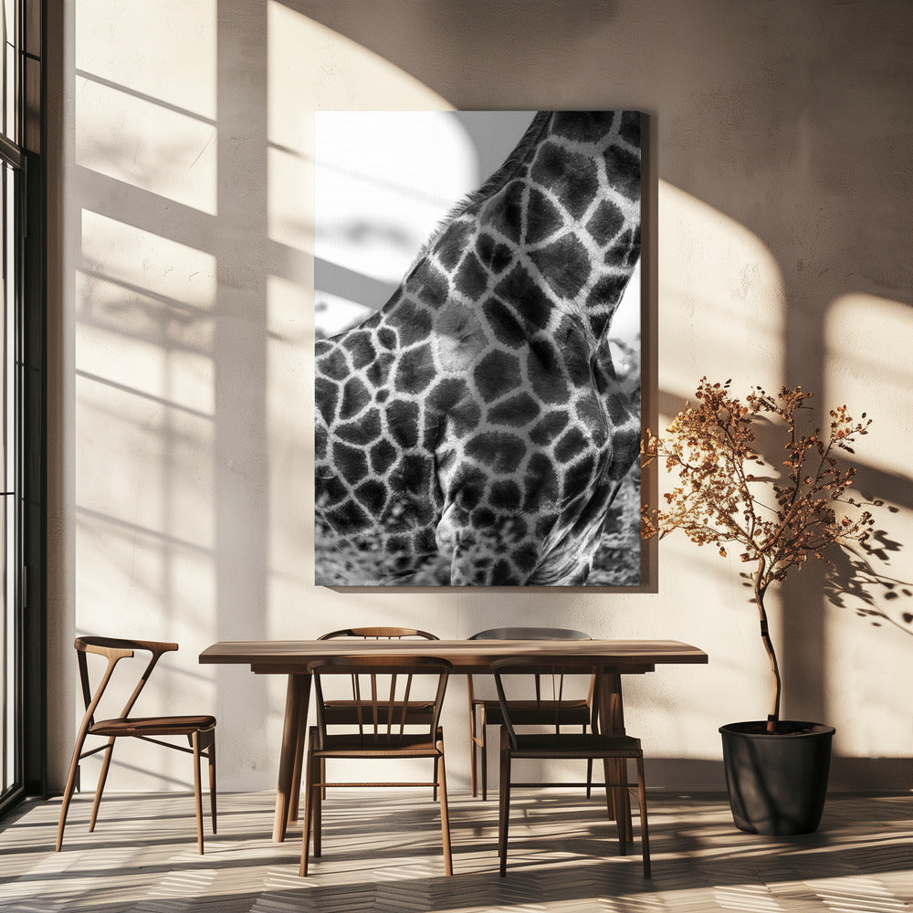 Intricate Patterns Of A Giraffe&#039;s Skin | Canvas